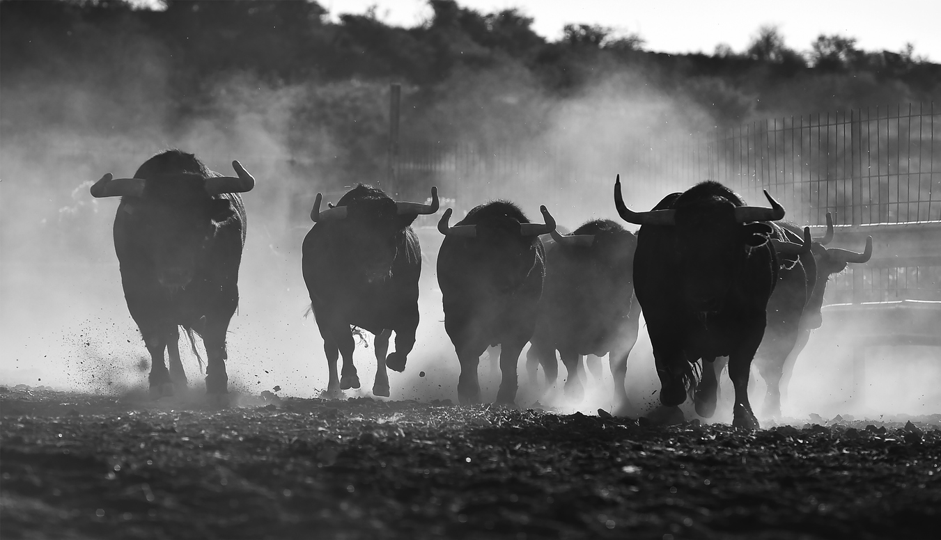 Five Signs That The Bitcoin Bottom Is In