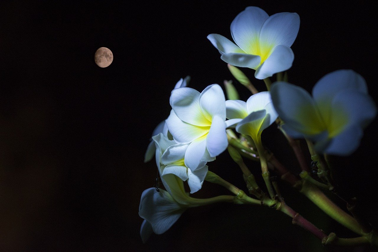 April Showers Could Blossom Return Of Bitcoin Bull Run This May
